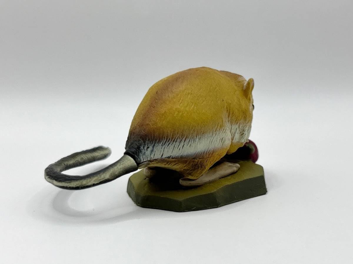 Amazon | 海洋堂レッドデータ アニマルズ オオカンガルーネズミ @動物